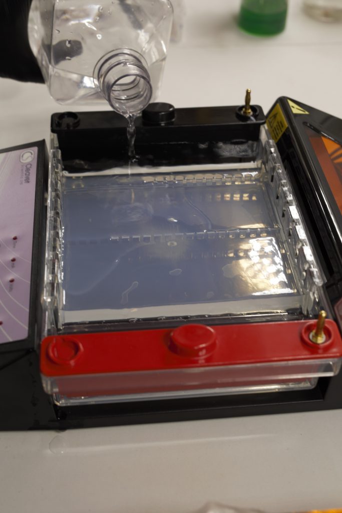 Preparing for gel electrophoreces