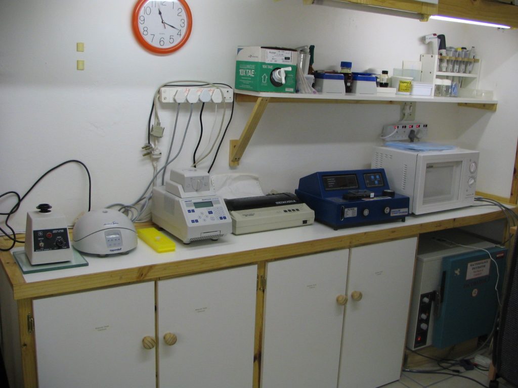 Vew a section of this lab